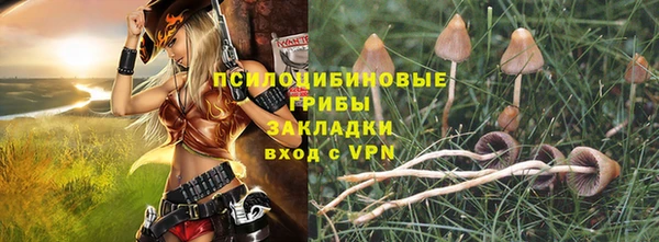 прущие грибы Алзамай