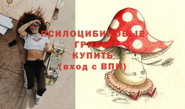 хмурый Алексеевка