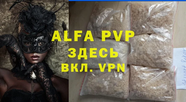 гашик Осташков