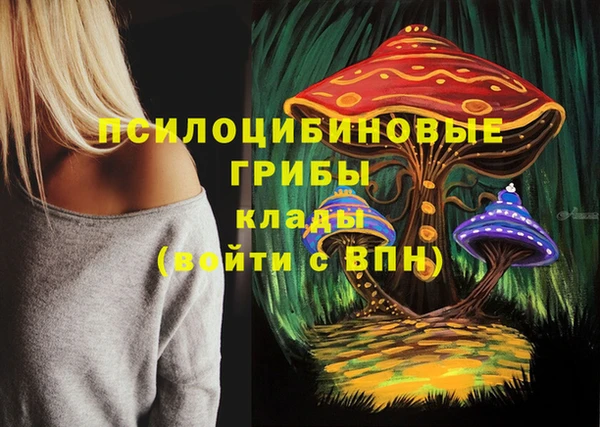 прущие грибы Алзамай