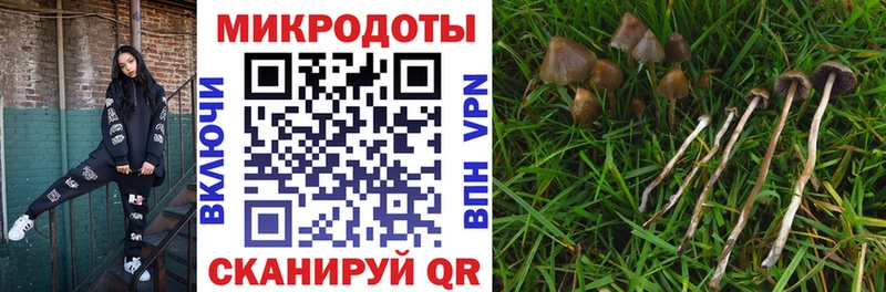 где купить наркоту Боровск Псилоцибиновые грибы Cubensis